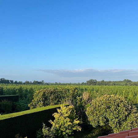 Jolie Maison De Vacances Avec Terrasse Et Jardin Saint-Julien-en-Born Dış mekan fotoğraf