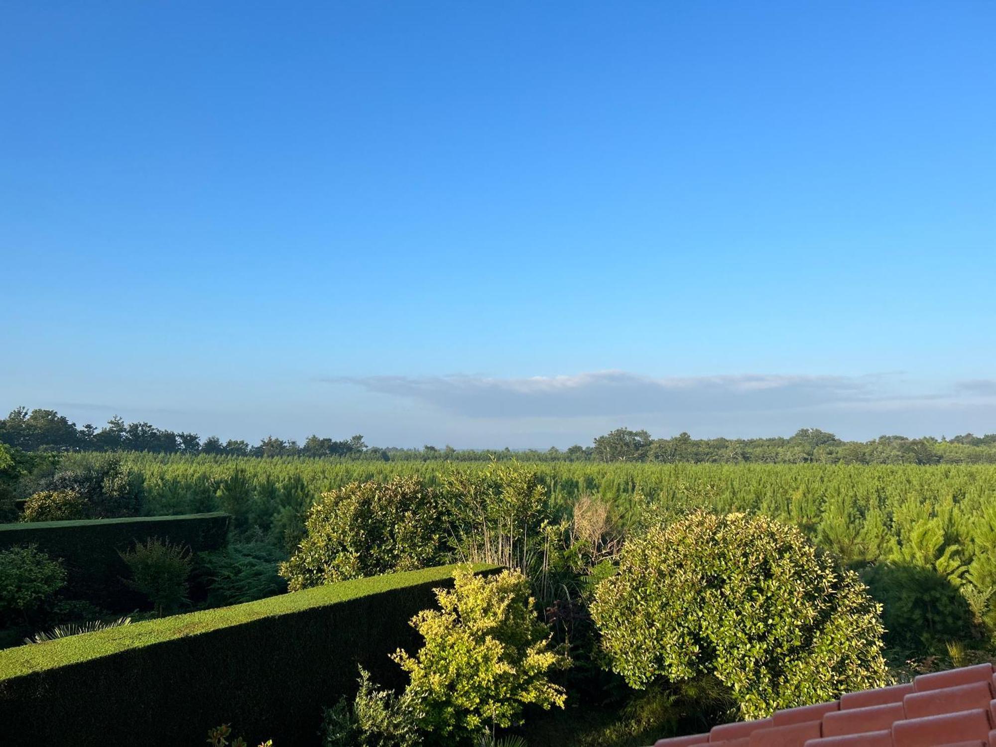 Jolie Maison De Vacances Avec Terrasse Et Jardin Saint-Julien-en-Born Dış mekan fotoğraf