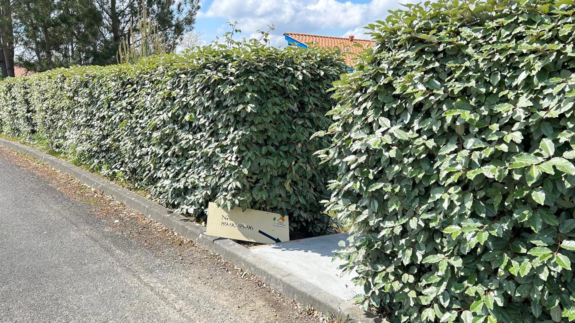 Jolie Maison De Vacances Avec Terrasse Et Jardin Saint-Julien-en-Born Dış mekan fotoğraf