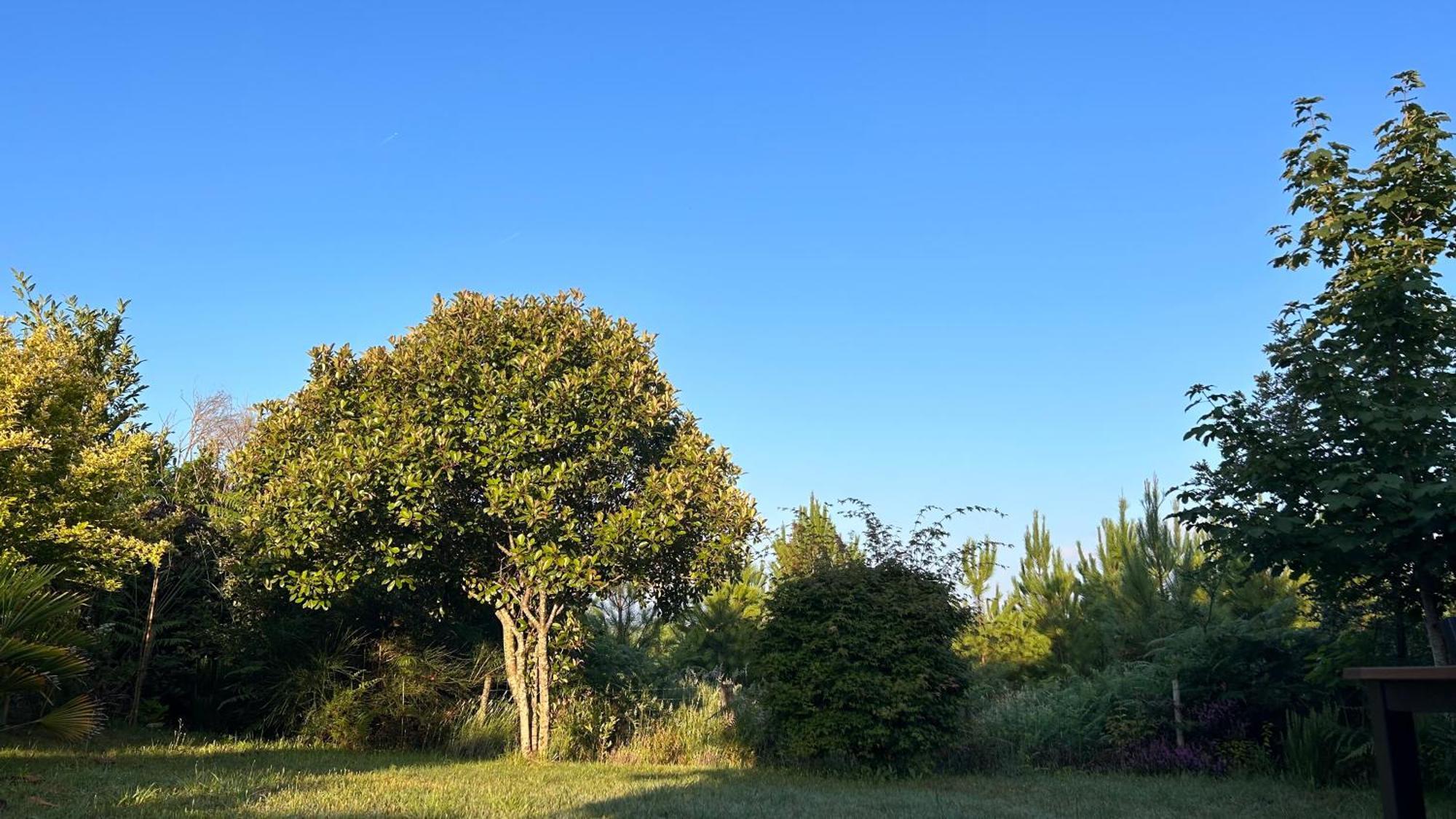 Jolie Maison De Vacances Avec Terrasse Et Jardin Saint-Julien-en-Born Dış mekan fotoğraf